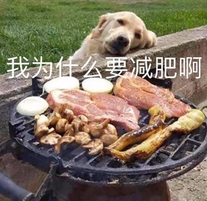 聊天必备表情包第677弹汪汪旺旺 ​​​（拿图吱声） ​​​