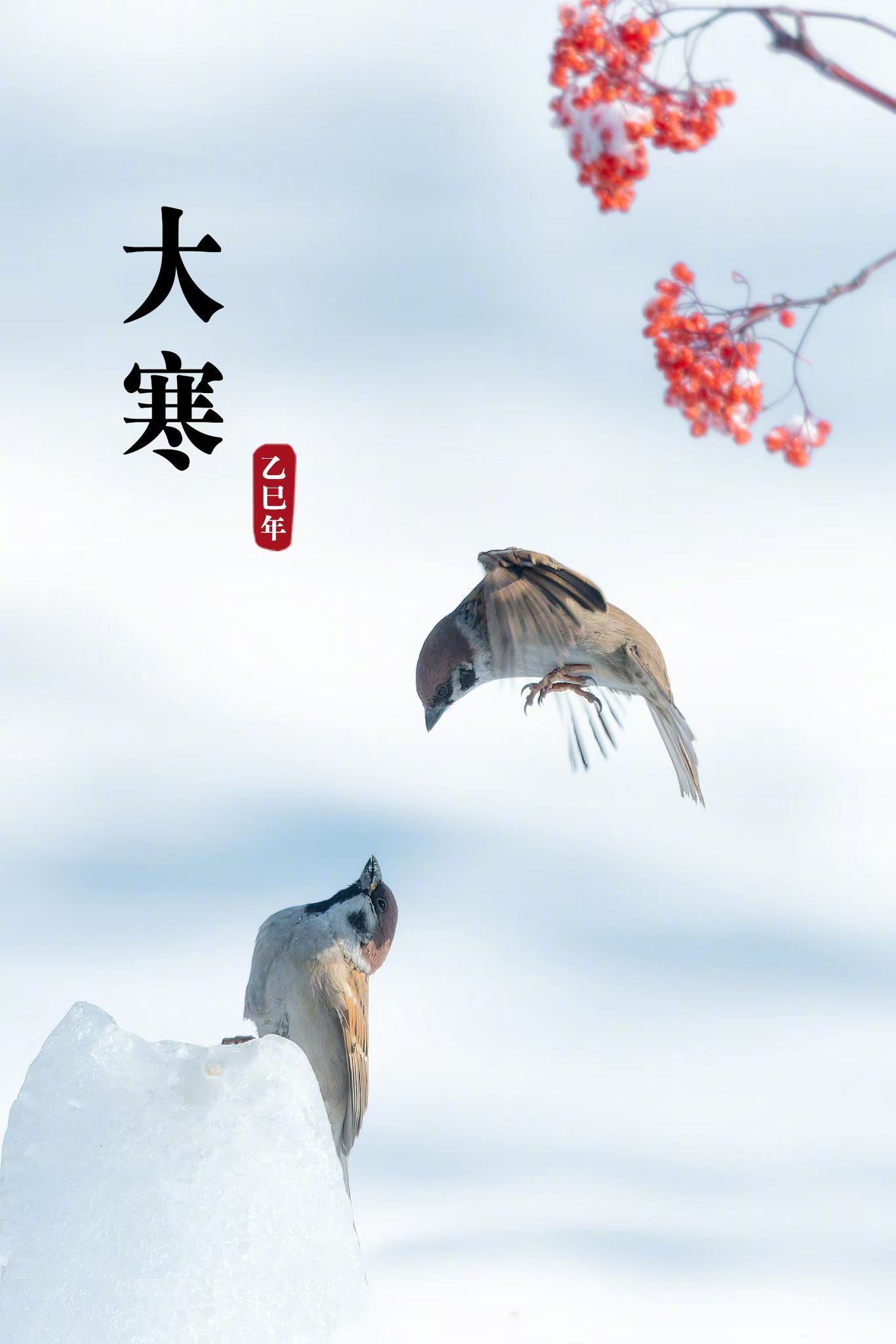 对未来有信心，对现在才有耐心。雪已至，春可期。 