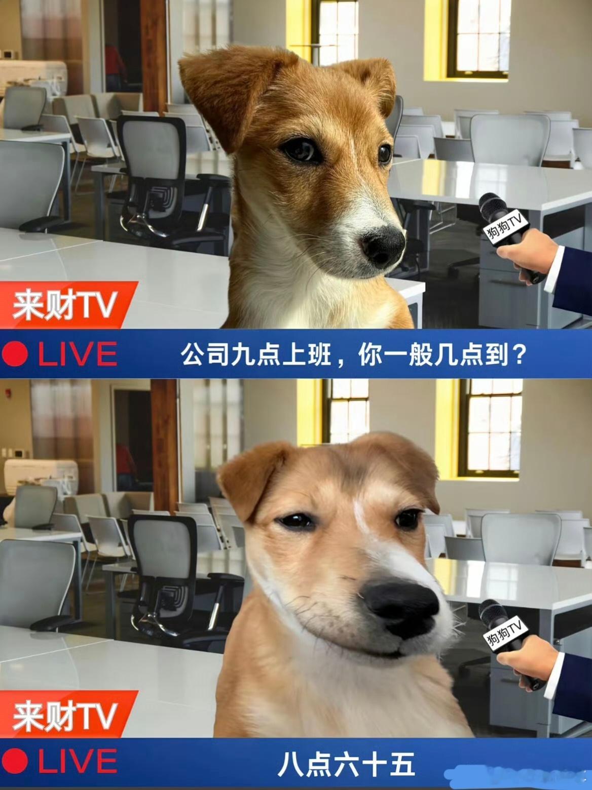 领导问有什么事比上班重要上班是为了好好生活，不是生活只为上班，健康、家人、情绪都