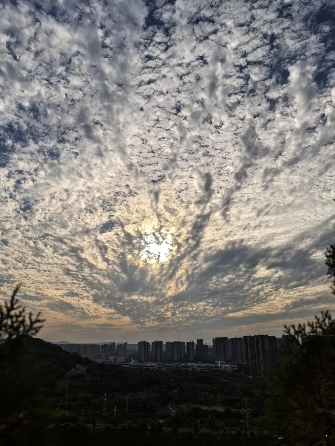 孔雀开屏
夕阳西下，
徐州天空出现孔雀开屏，
朵朵白云堆积，
围绕落日扩展开来，