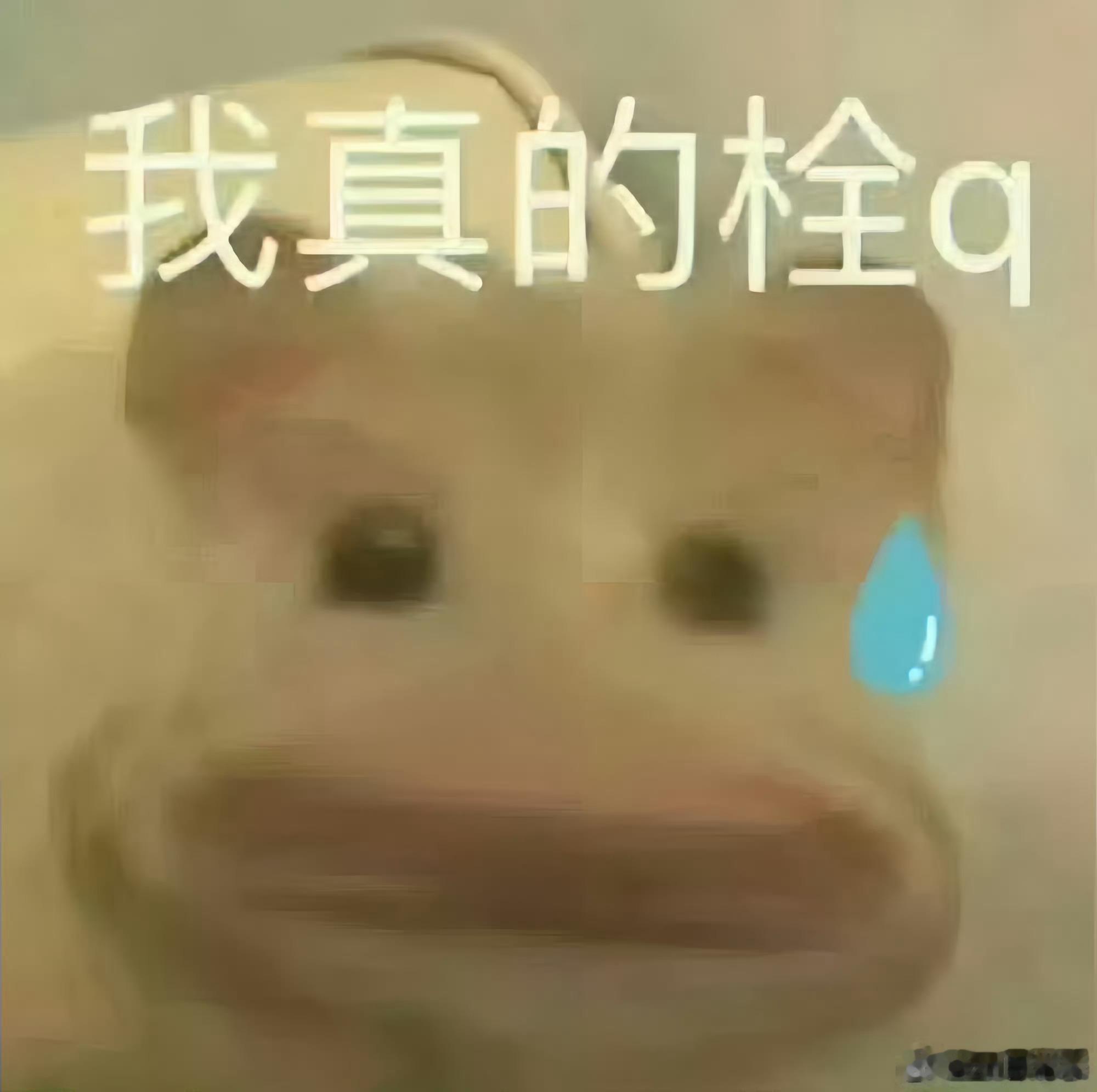 这条吐槽一下你最近的烦恼和焦虑🚮 