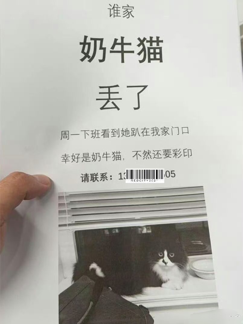 幸好是奶牛猫 不然还要彩印…… 