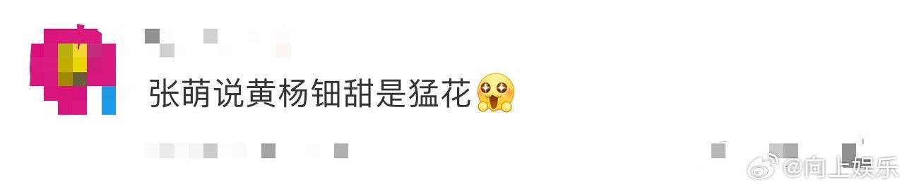 张萌说黄杨钿甜真是05一支猛花张萌谈和黄杨钿甜合作感受，称其沉浸在角色里！年轻且