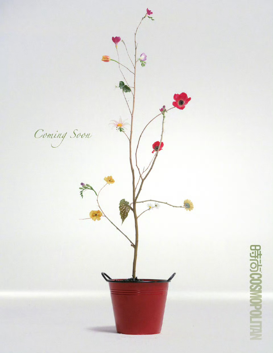 李昀锐 x Cosmopolitan China May 2026温润少年与花，