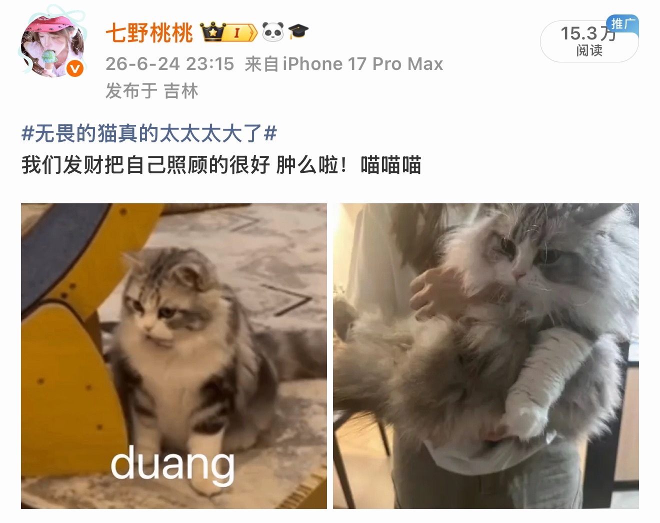 这波完全是蹭到大明星彩彩了 