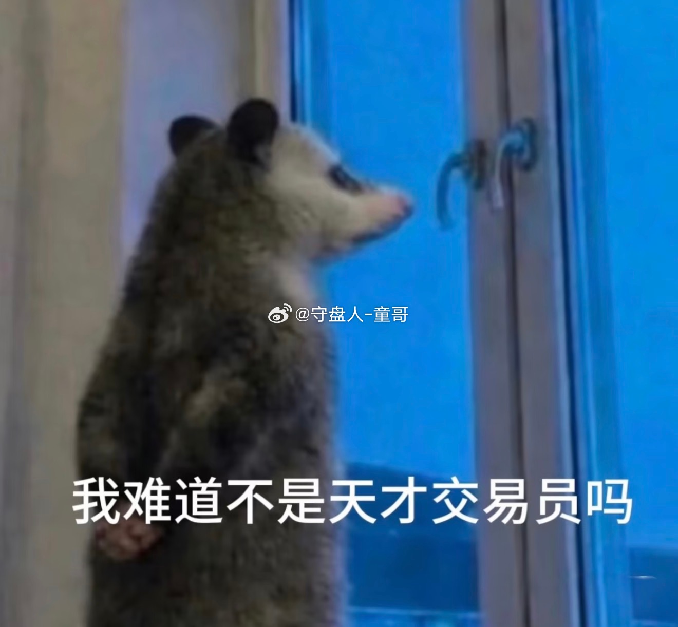 今晚过山车真刺激，所以老话长谈了，真不能贪心啊，害得你童哥加了一次苍，求回本下车