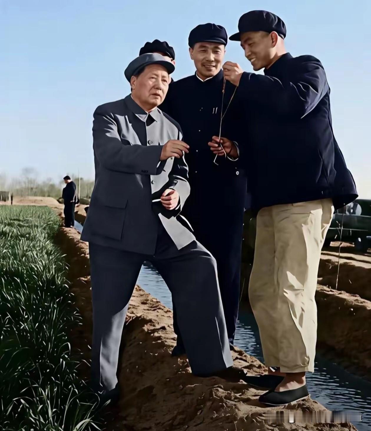 1959年4月12日，
河北邢台市郊的田埂上，
春风拂过青青麦苗。
毛主席一脚踩