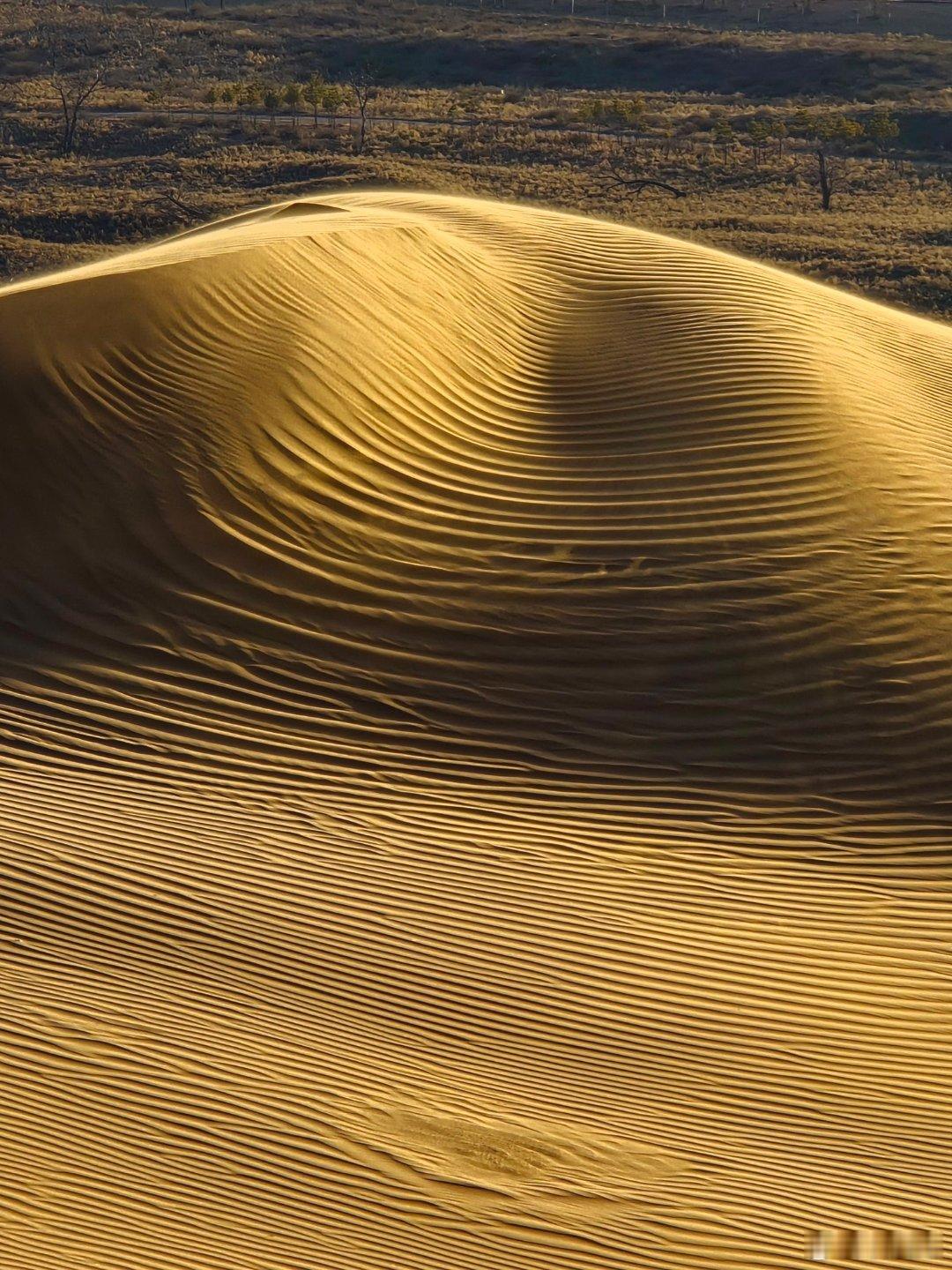 鄂尔多斯沙海寻波。       读段义孚教授的《浪漫地理学：追寻崇高景观》一书，