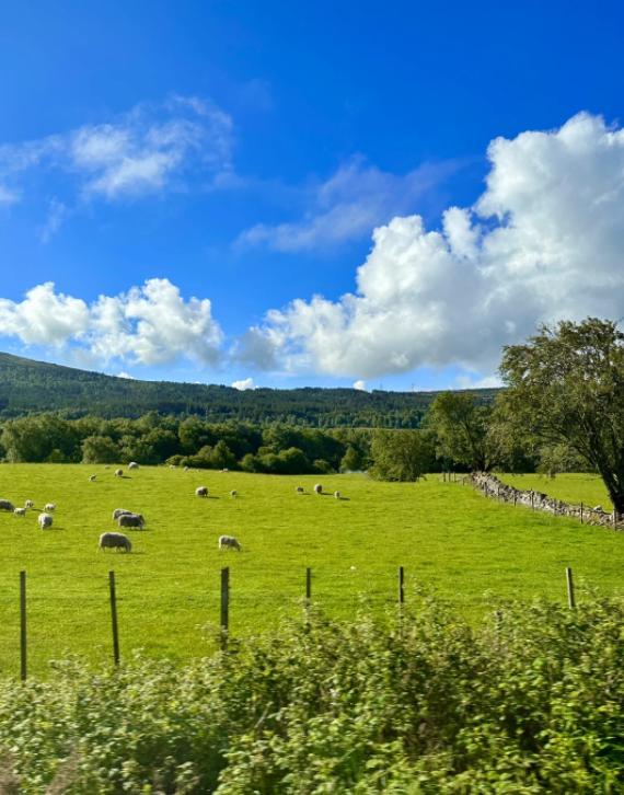 男人二婚血泪教训：千万别娶这种女人
亲爱的朋友们大家好，我是海林小百科。今天我们