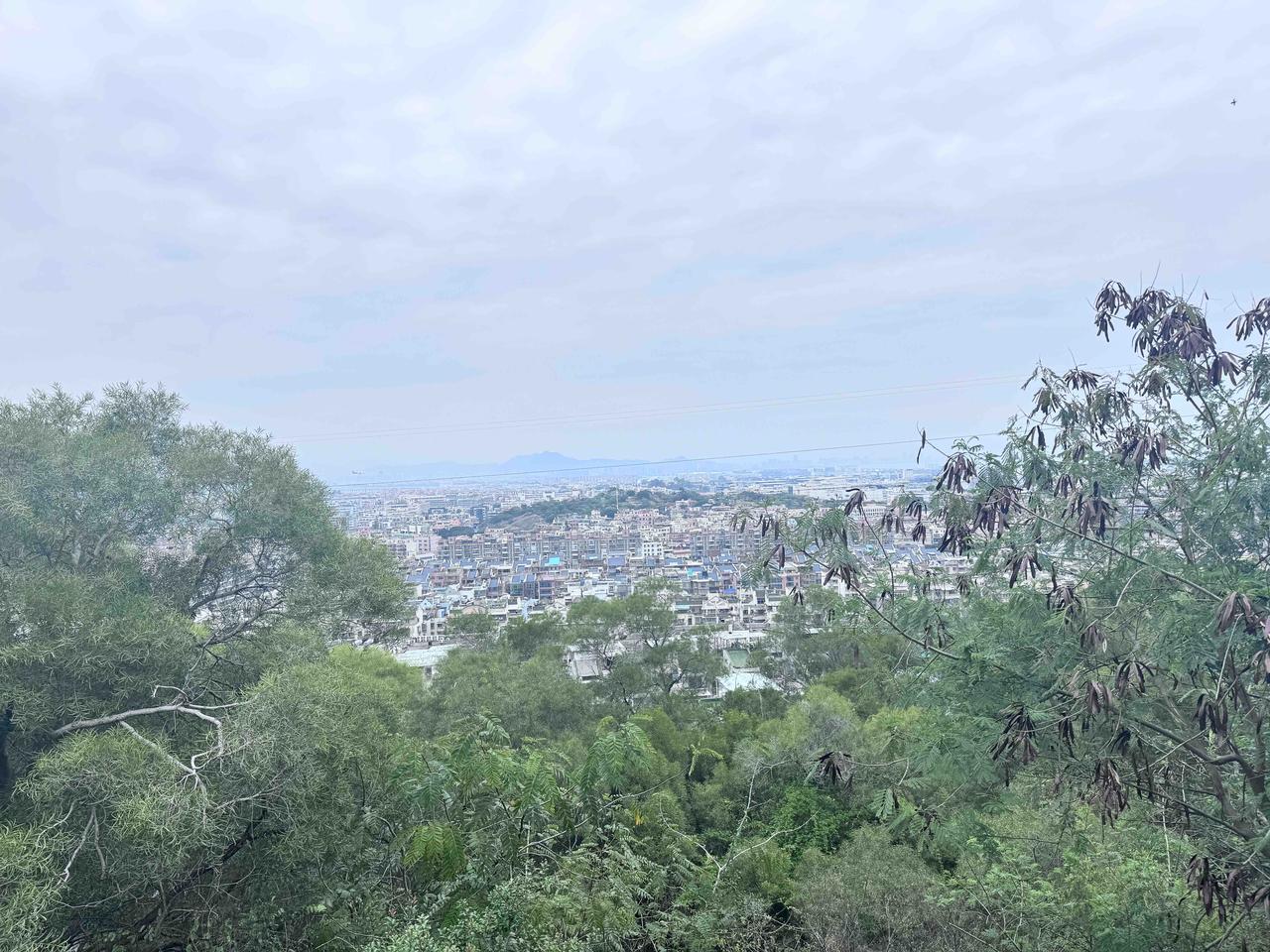 厦门旅游必到打卡处这个拍照的风景还是不错的，三角梅虽然看着土土的，范围多，拍出来