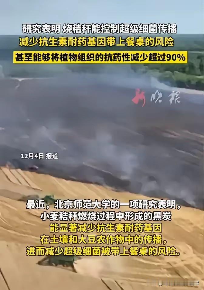 没想到的事。
北师大团队最新研究成果：烧秸秆产生的黑碳能压制土壤里的耐药基因！这