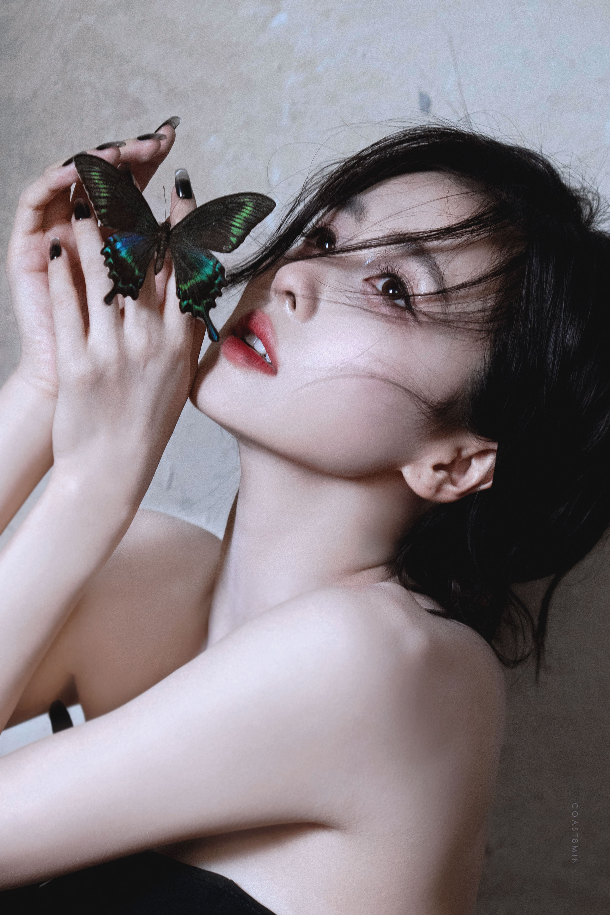 白鹿 * 月光缠绵 ​​​​