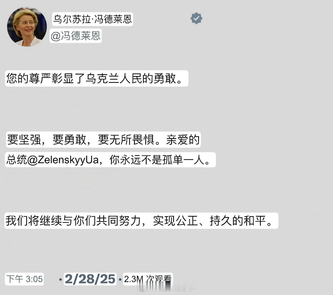 特朗普与泽连斯基激烈争执  泽连斯基与川普谈崩后，欧盟主席冯德莱恩发声，支持泽连