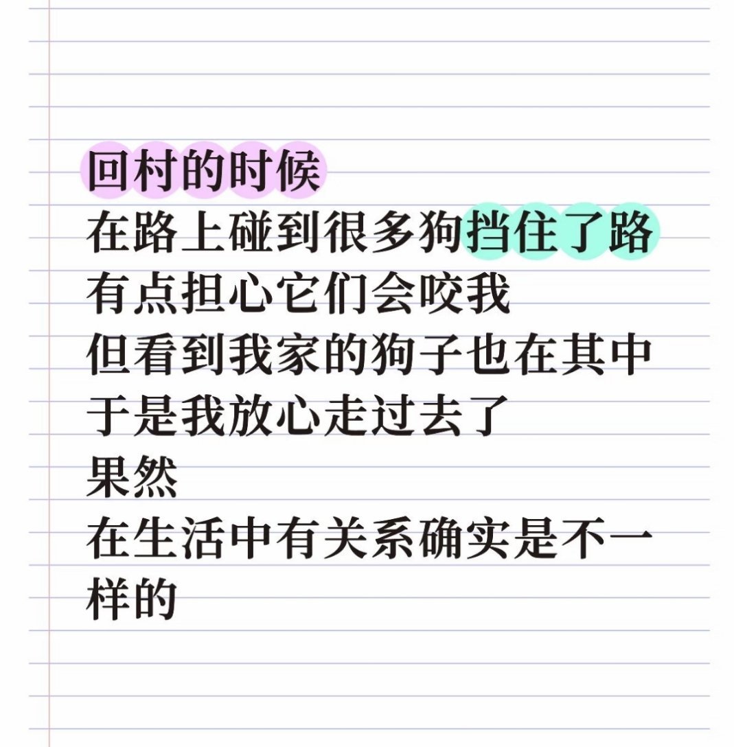 回村的时候在路上碰到很多狗挡住了路有点担心它们会咬我但看到我家的狗子也在其中于是