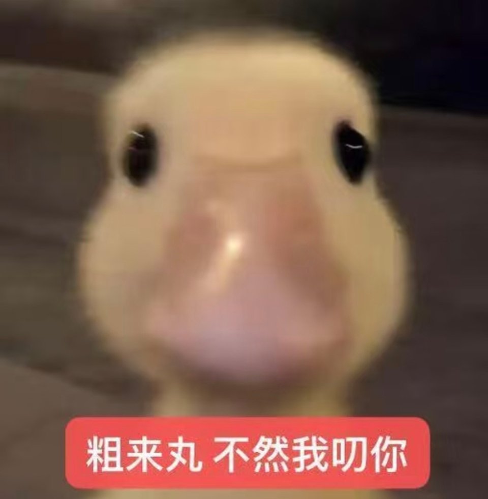 分享图片 