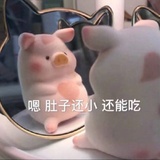 陈枝说说体育