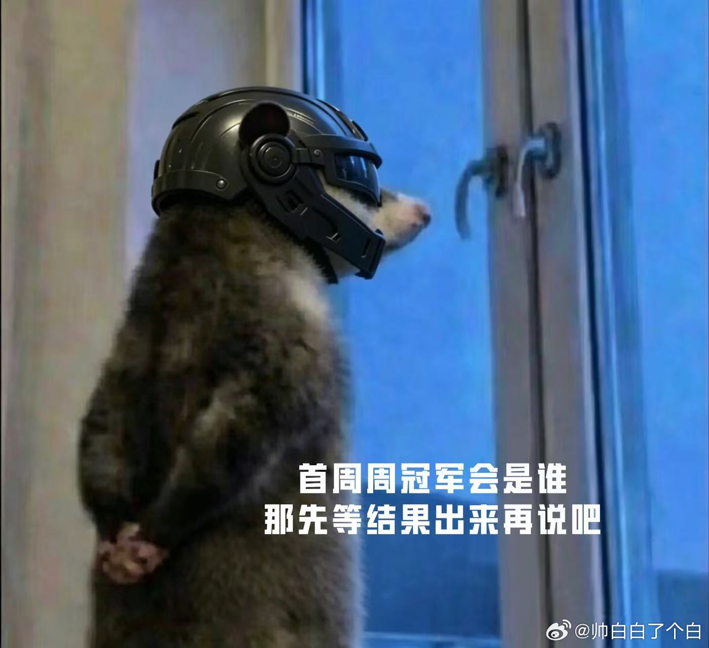 鼠鼠我啊来看PEL咯PEL夏季赛倒计时三日 鼠鼠表情包氛围感拉满，倒计时时刻满心