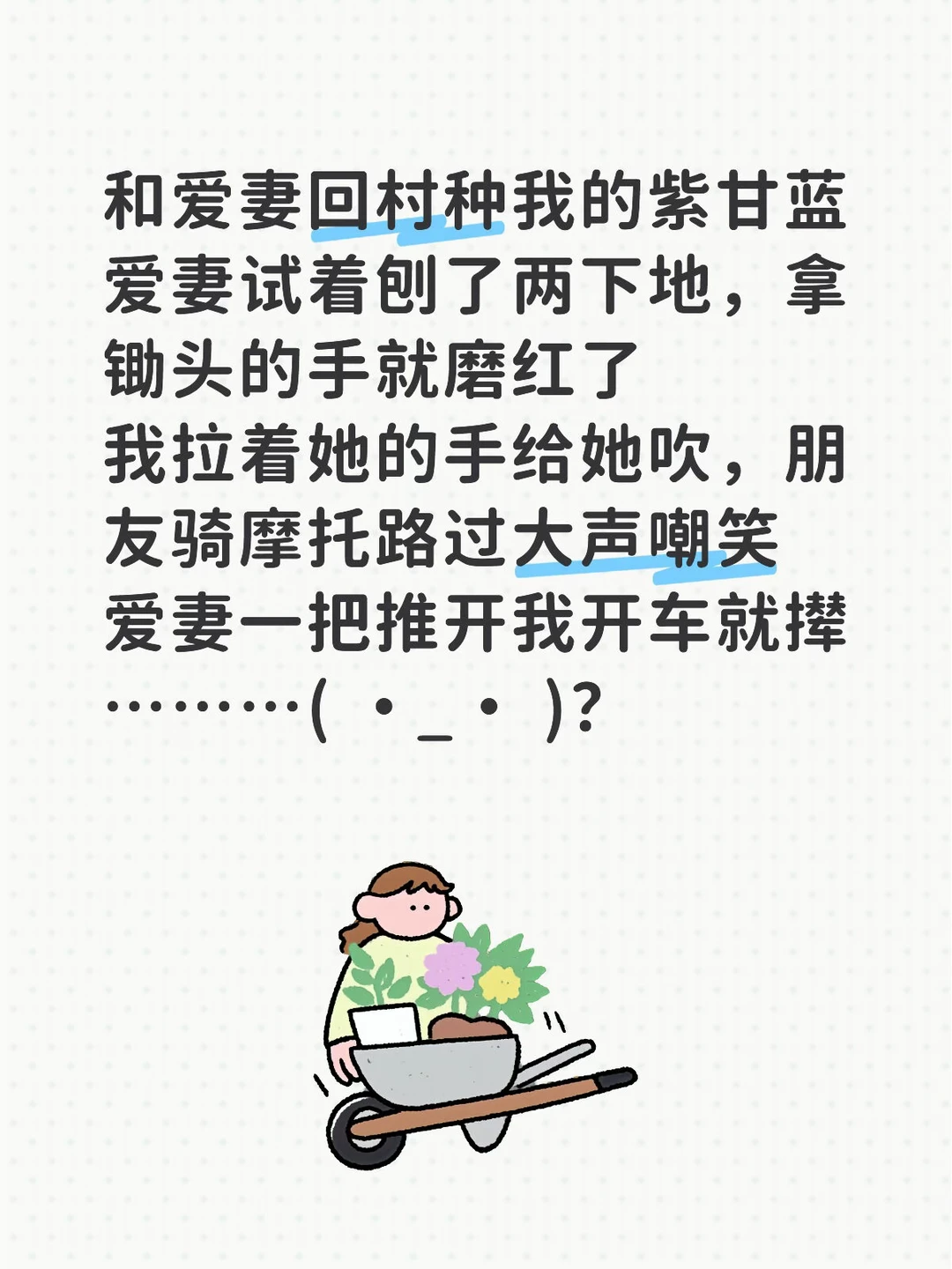 今年第一次种紫甘蓝 大头菜都种了 紫甘蓝应该也一样可以种 我挖完坑去拿...
