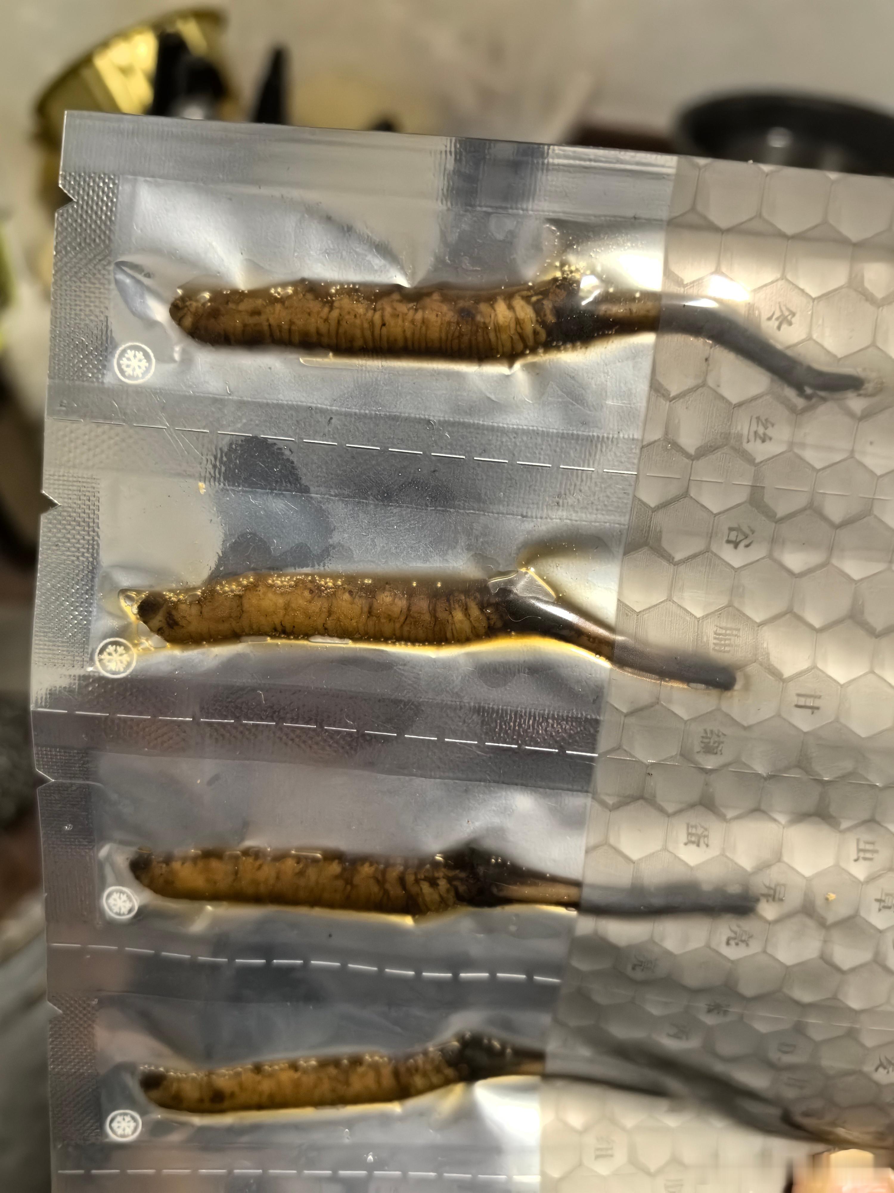 回以前住的地方收拾一下，冰箱坏了。前女友做的绿豆沙坏了，买的虫草忘记吃也坏了，好