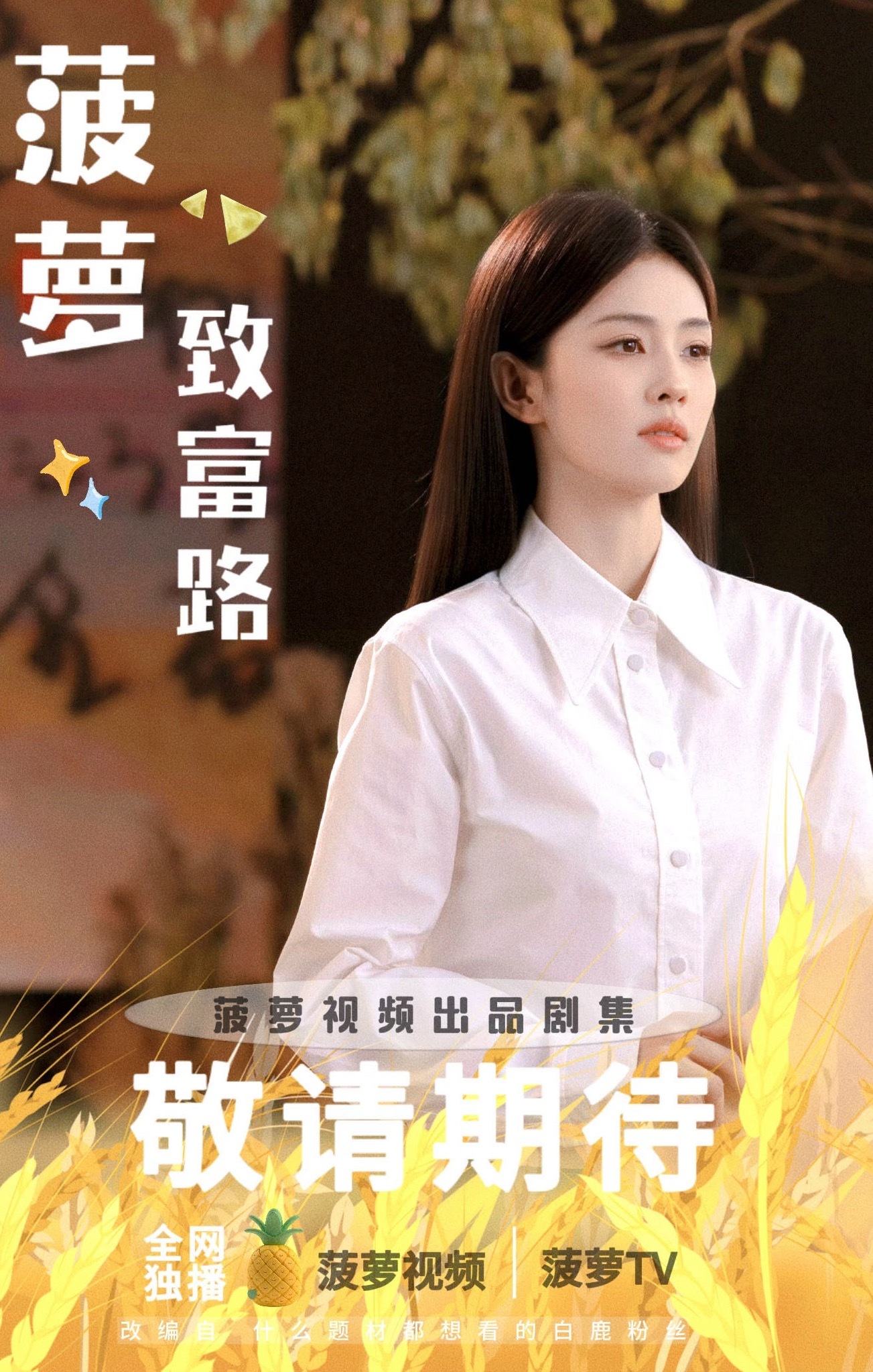 项目梗概：白家庄世代种植菠萝却因守旧思想陷入困境。在外打拼的菠鹿听闻家乡困境，毅