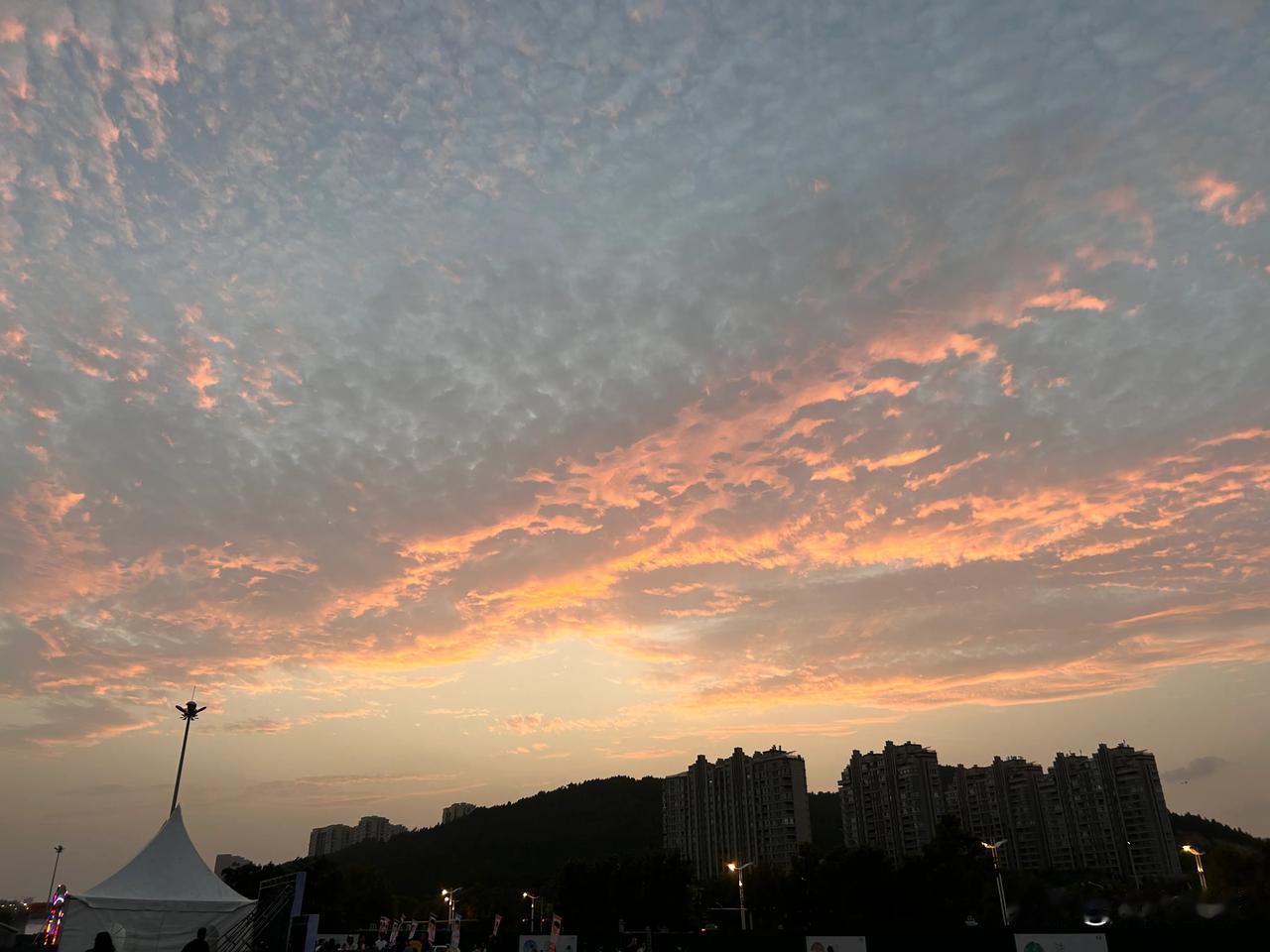 突然想到一个问题，如果不受任何环境任何压力的困扰。让你选择一个自己喜欢的职业工作