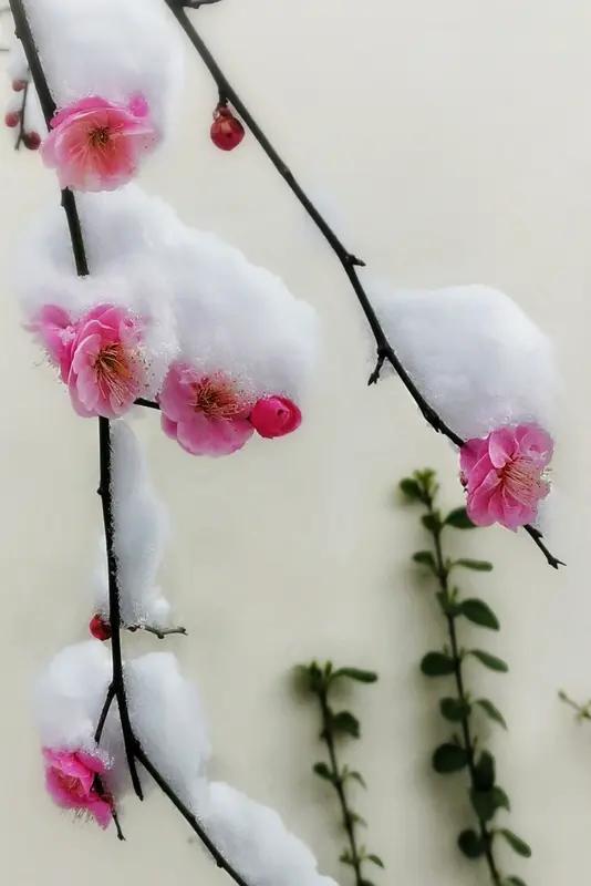 叶落闲庭风伴舞；求下联