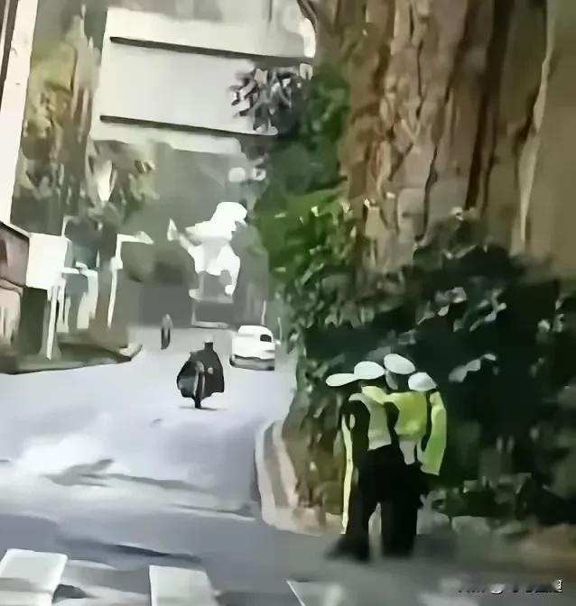 电鸡抓不完，根本抓不完，在机动车道随意变道低速行驶，闯红灯的也特别多，建议严格查