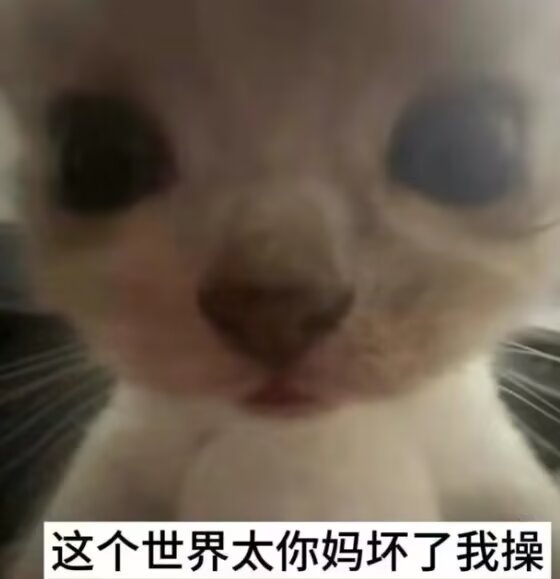 欧洲大军抵达格陵兰岛画面人数30人的欧洲大军，这去按几头猪都不够。 