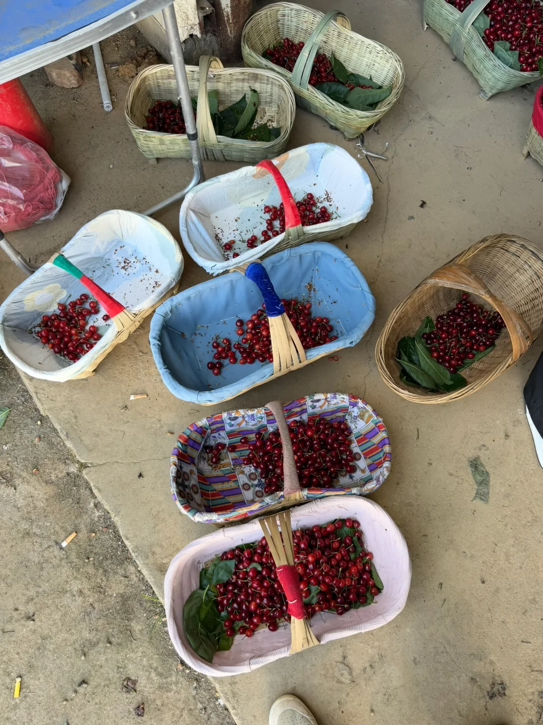 每家农户都写上名字，不好的退回去，诚信为本