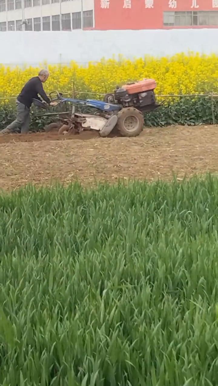 种地，我们来种地。