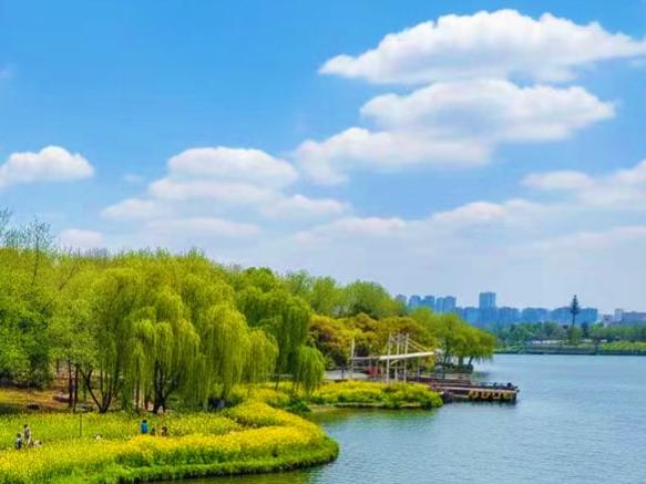 公园美丽景随拍