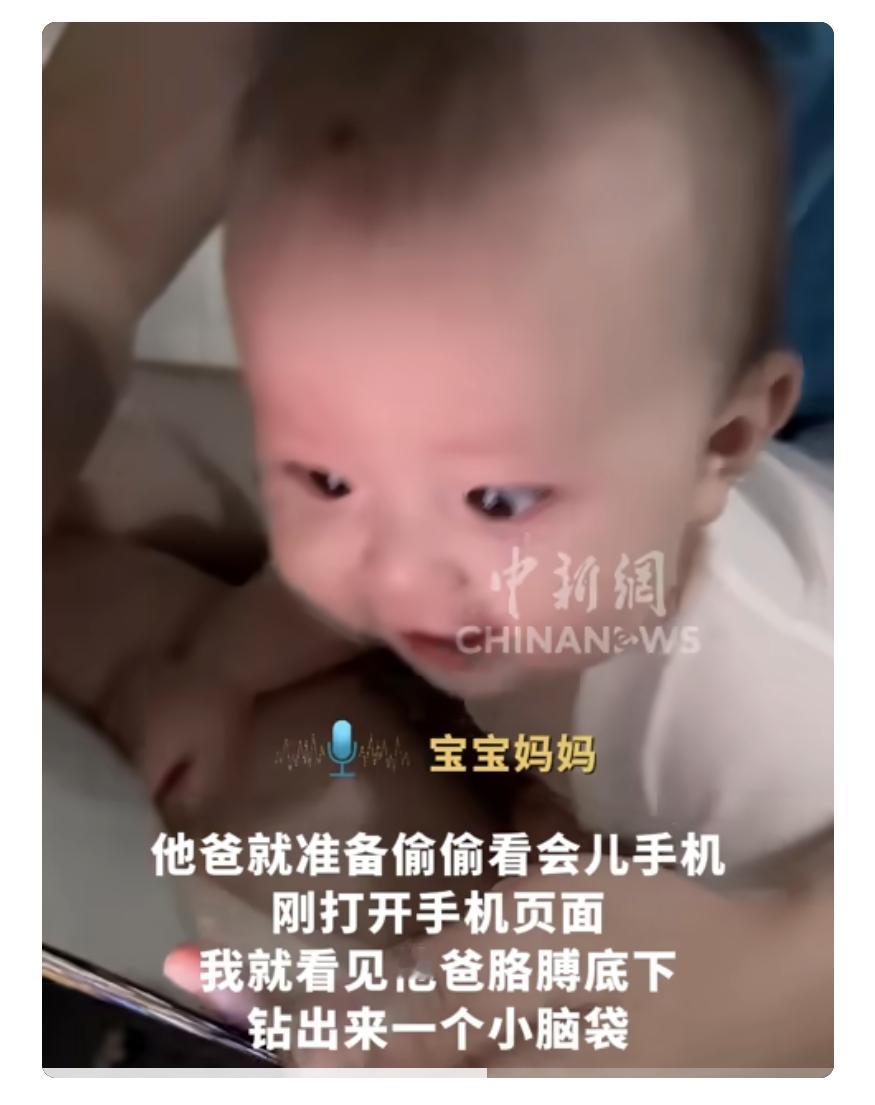 7个月幼崽看爸爸玩手机两眼放光所有的小孩子是不是都这样，看到手机都控制不住，一个