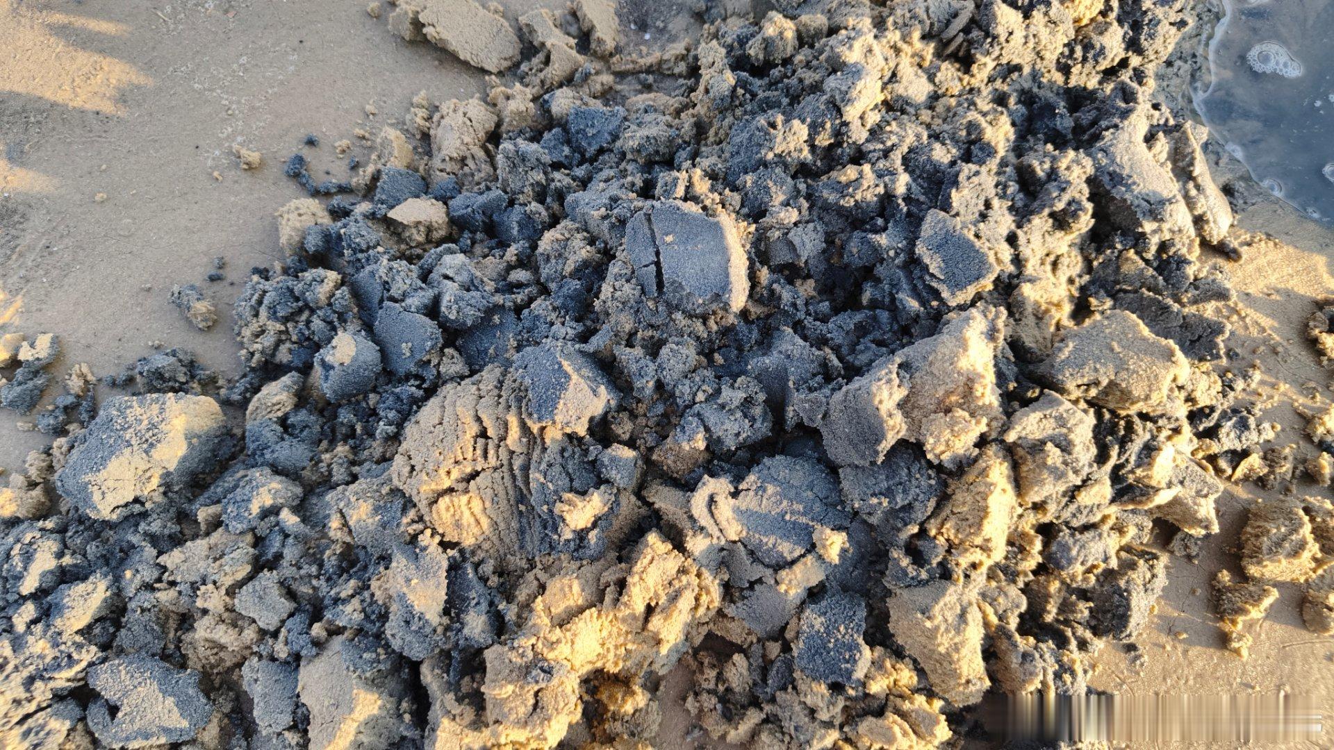 有朋友知道为啥这沙滩一挖开都是黑的吗？会不会和前些年的石油污染有关？  ​​​