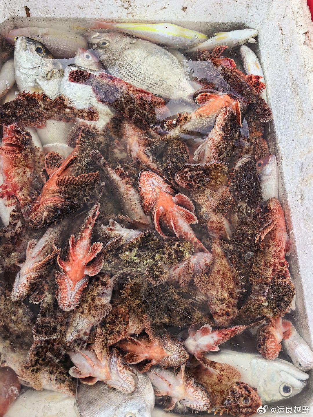 浪迹江湖，海南荒野盛宴。我们这次找到了好多适合于越野车能开进沙滩的野海滩，还有当