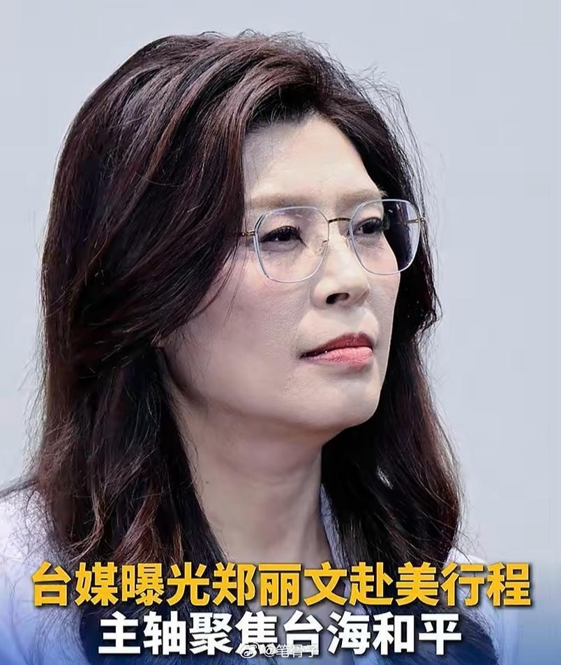 【郑丽文赴美行程曝光】郑丽文将带队于6月1号到16号，去美国访问，走的是个“西进
