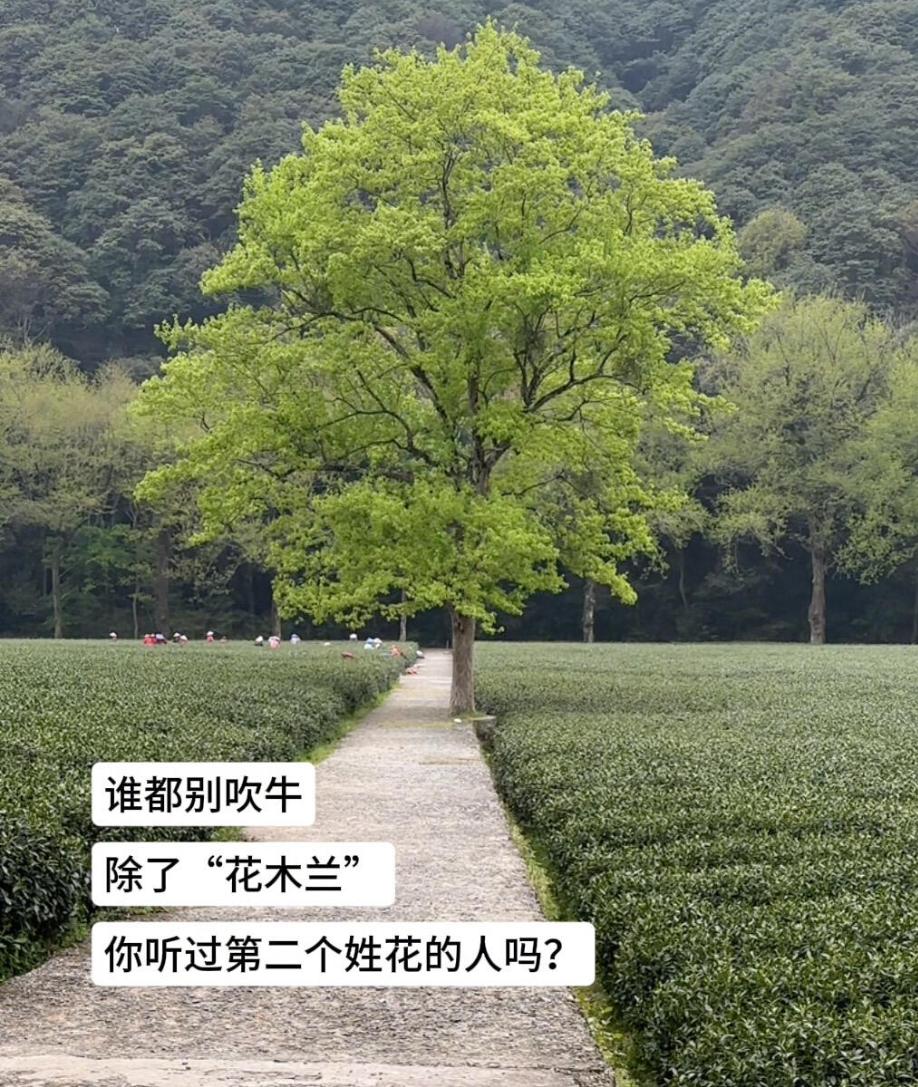 除了花木兰，你还能不能想到第二个姓花的名人来（历史/虚构等皆可）？