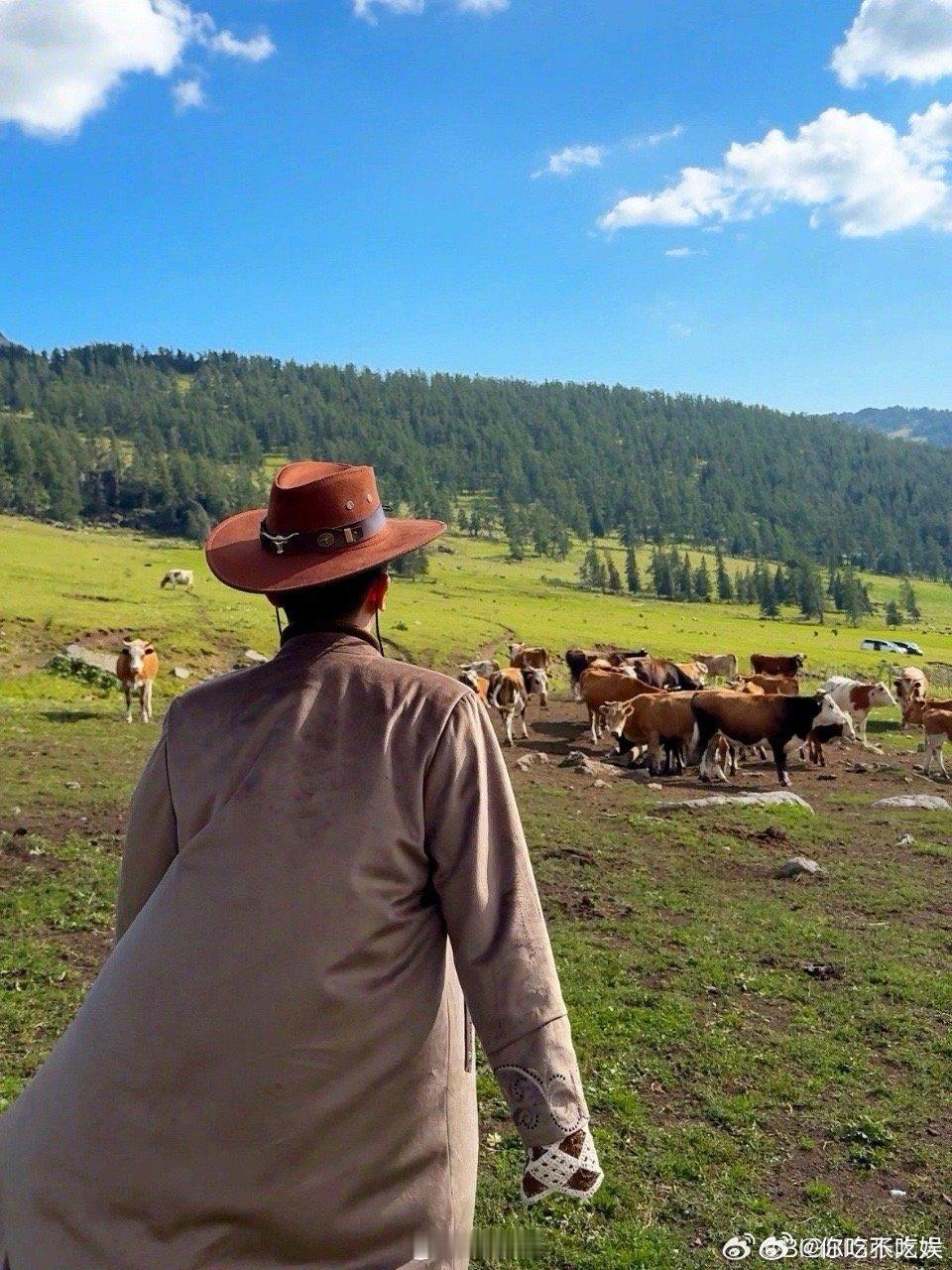 #张大大拍的阿勒泰#这才是我向往的地方，张大大拍的阿勒泰，这简直就是人间天堂啊！