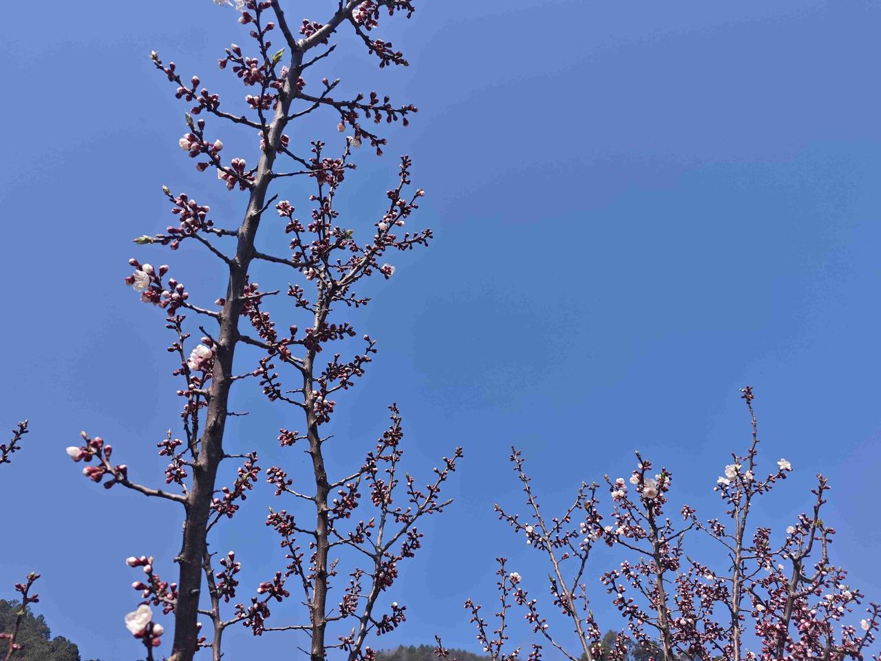 我的今日状态：💰期待暴富
我这里的天气：☀️晴天