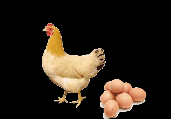 【养基场🐔半年盘点吐槽】“喝酒”醉倒了，”吃药“病入膏肓了，恒生成了跛脚，光伏