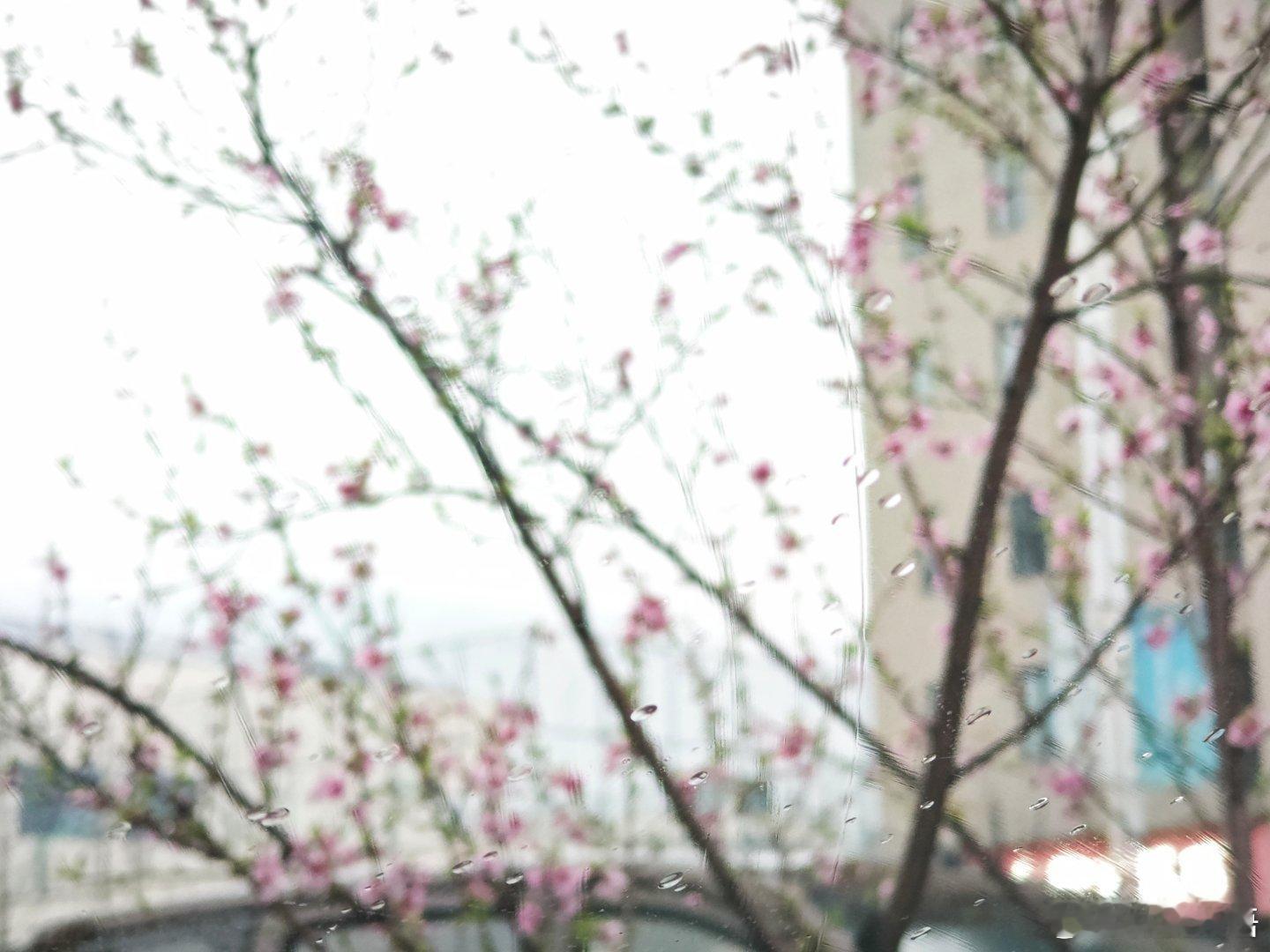 雨天，也不要沮丧难过哦，看看窗外的风景，朦胧美就很治愈！ ​​​