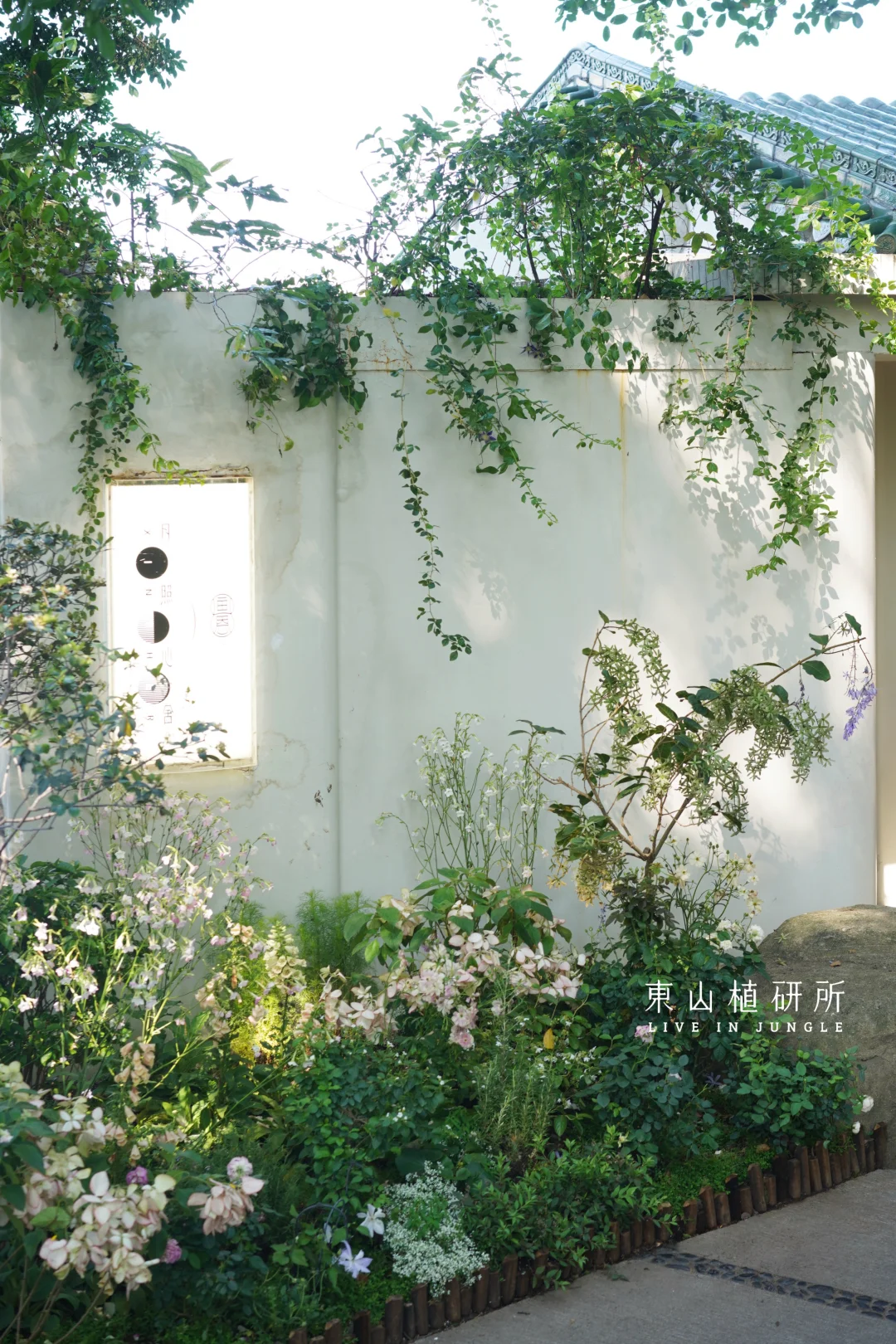 花园设计｜被雨后的花园治愈的一天🌿