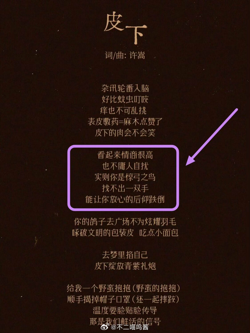 许嵩新歌皮下隐喻社交面具曲风轻快内核却清醒，借歌曲隐喻日常必备的社交面具，迎合客