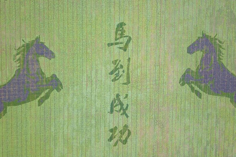 带马的成语可太多了，我能一口气说上好几个。比如“马到成功”，这寓意着事情一开始就