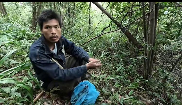 七星山荒野求生节目最大的意义在于，给了广大观众野外求生的信心和生存技巧，当你不小