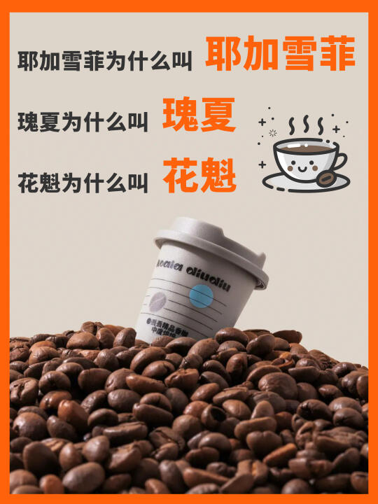 瑰夏 耶加雪菲 花魁丨你知道是怎么来的吗