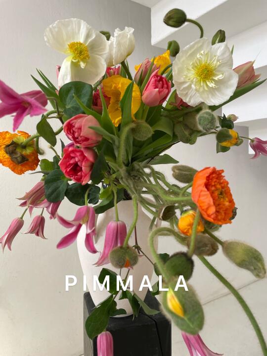 PIMMALA｜春天小野花