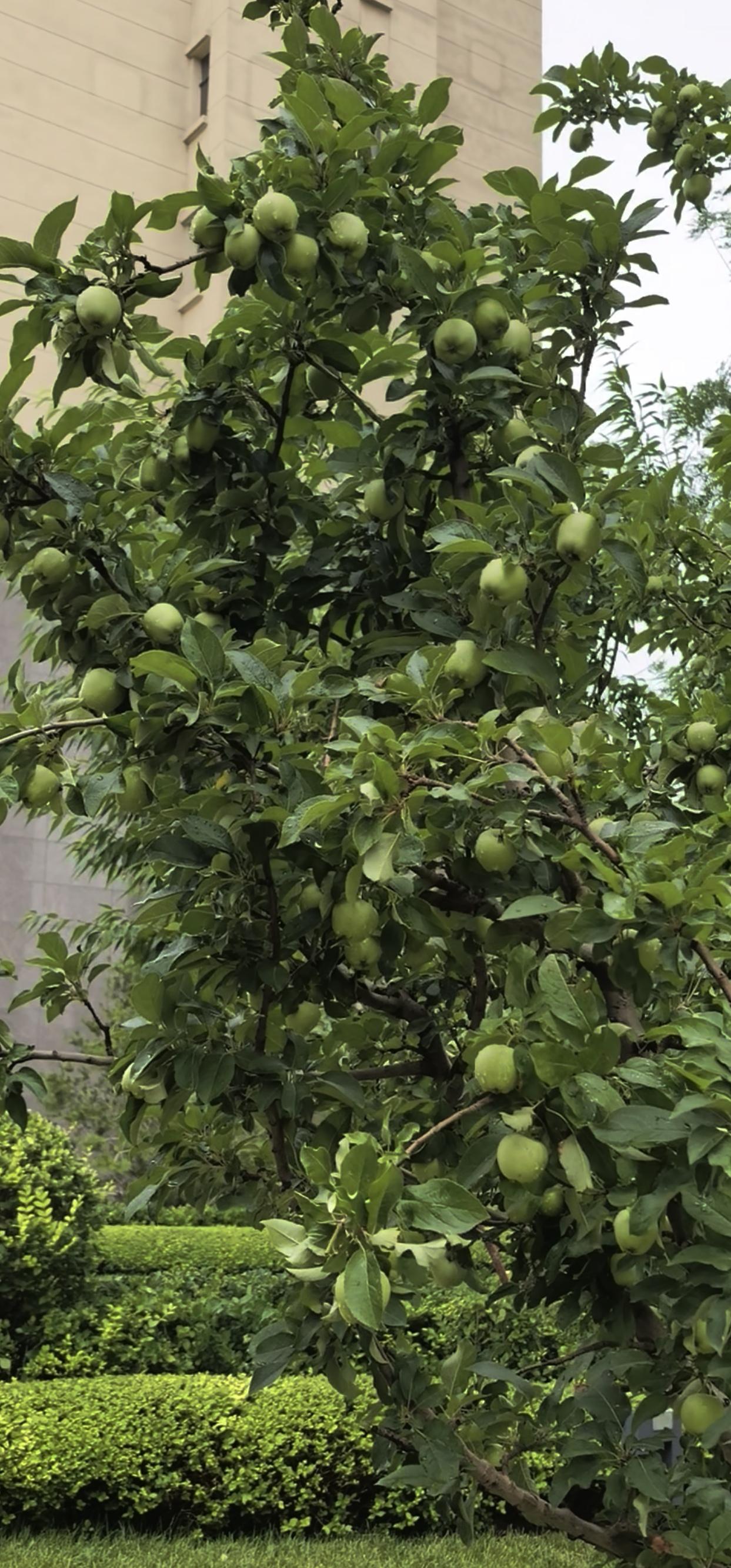 健康在人生不同阶段都至关重要。一无所有时，健康就是翻身的资本。就像一些创业者，起