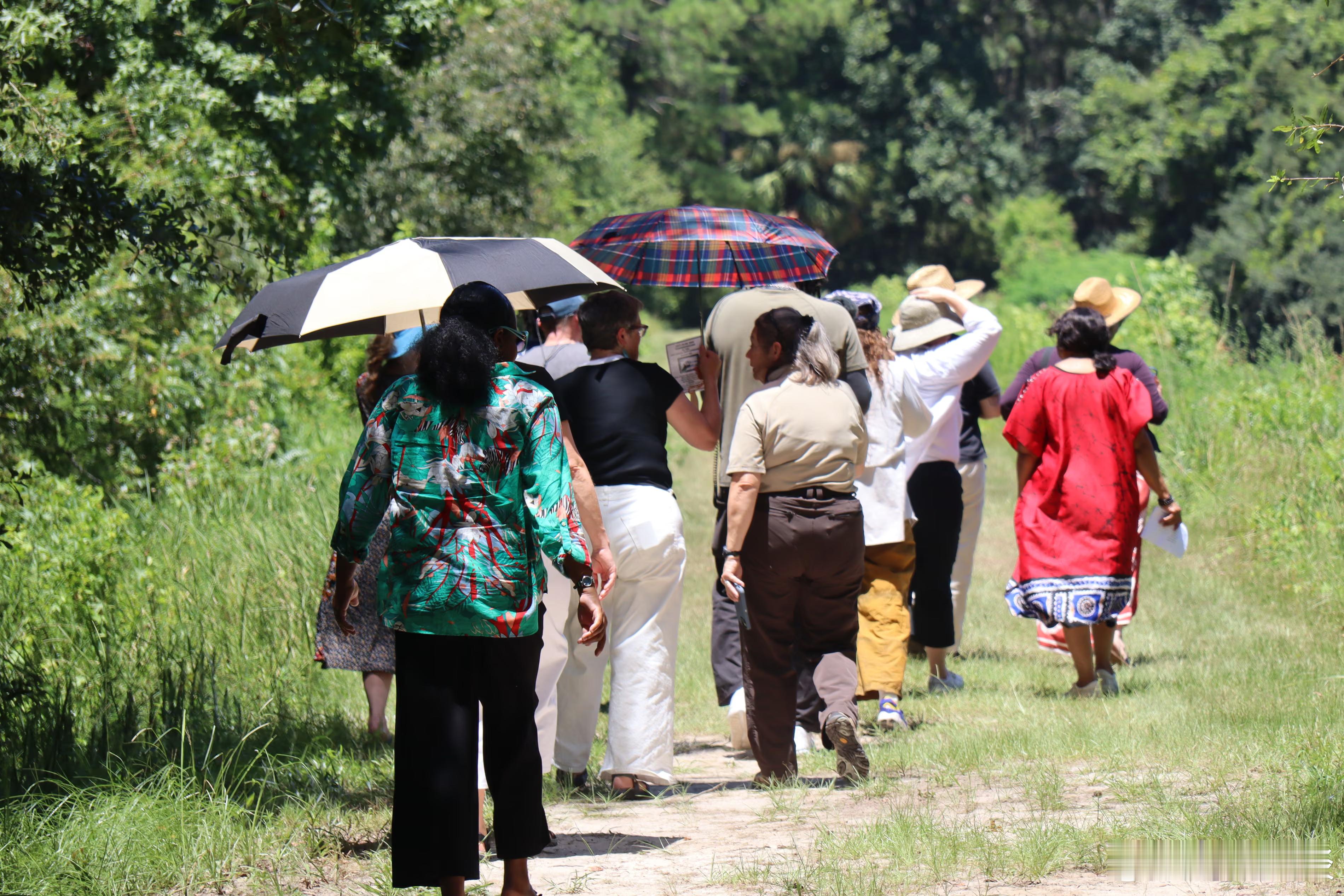 （卫报）一个曾经繁荣的佐治亚州沿海黑人社区哈里斯内克如今已绿树成荫。在19世纪末