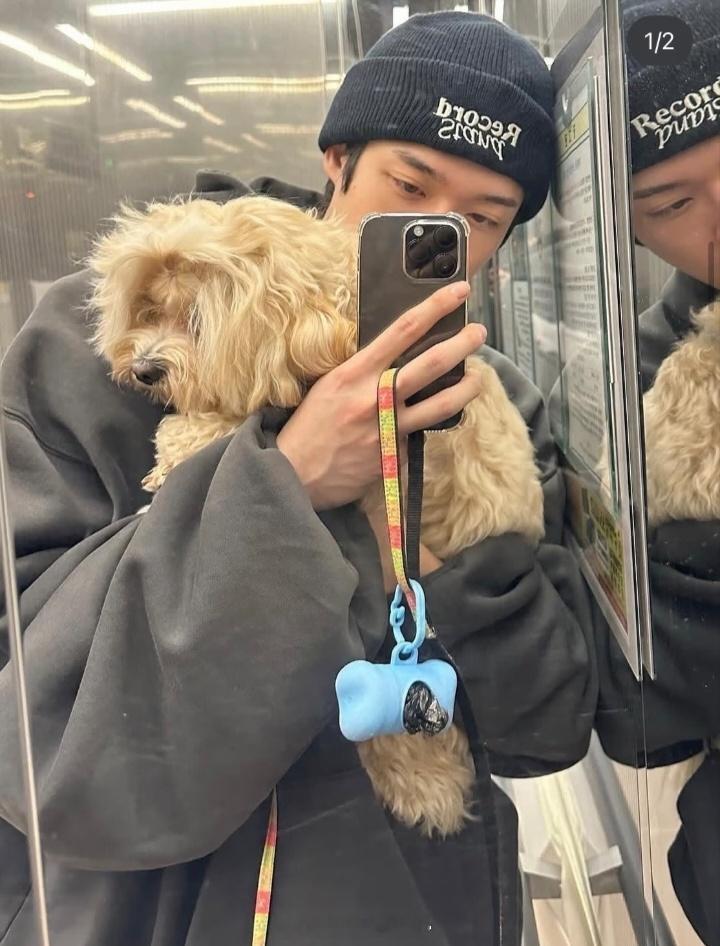 金允植一整个猫狗双全啊 