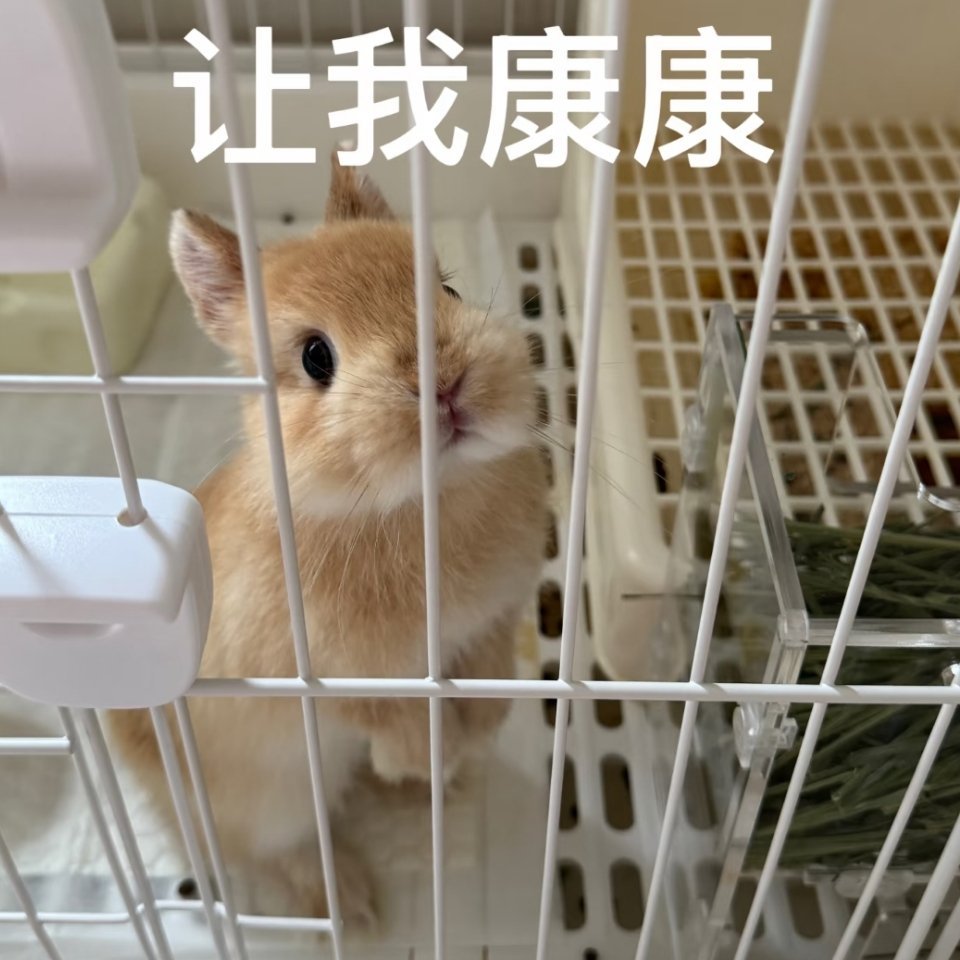 文思妹妹穿点新的衣服给我瞧瞧 ​​​